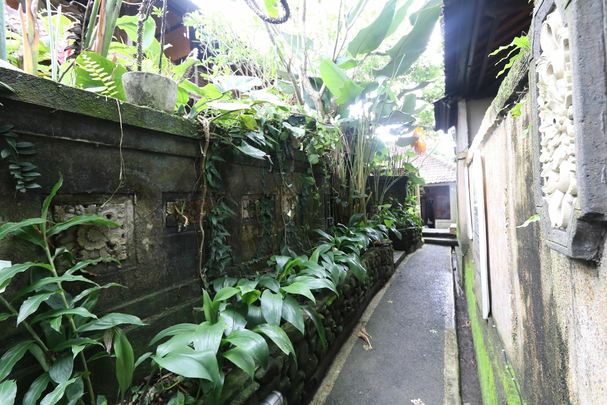 Pondok Permata Homestay Убуд Экстерьер фото
