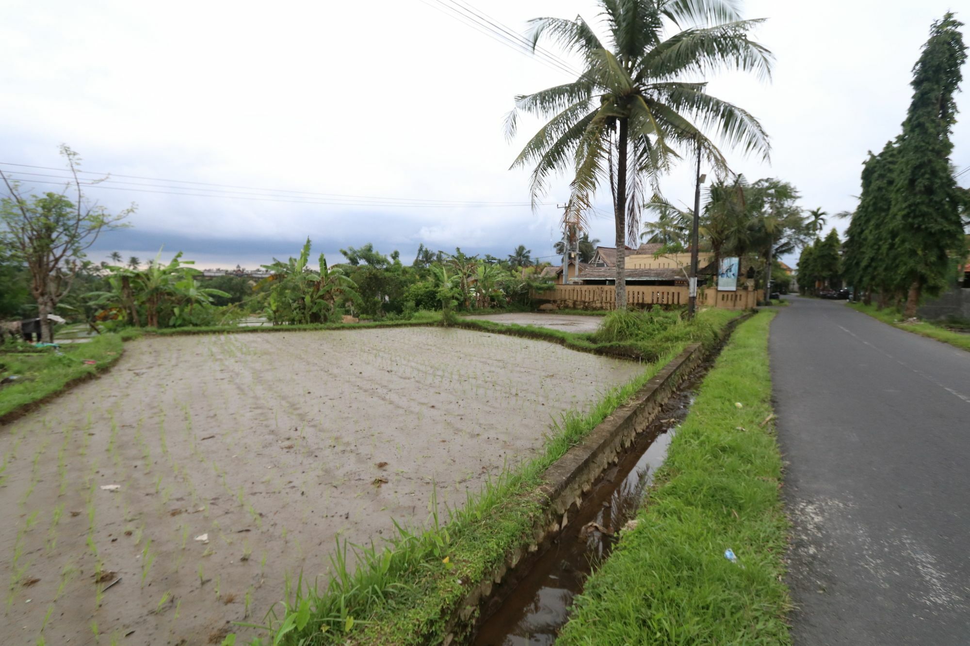 Pondok Permata Homestay Убуд Экстерьер фото